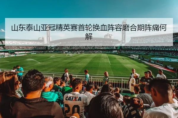 shan-dong-tai-shan-ya-guan-jing-ying-sai-shou-lun-huan-xie-zhen-rong-mo-he-qi-zhen-tong-he-jie-2-912.jpg