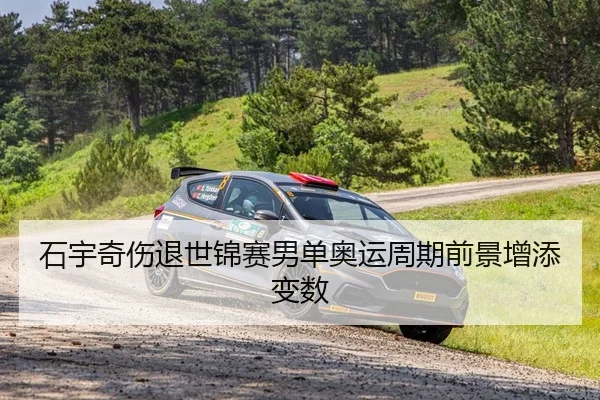 石宇奇伤退世锦赛男单奥运周期前景增添变数